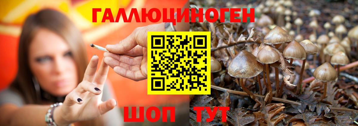 Псилоцибиновые грибы Psilocybe  Вход с VPN  Псилоцибиновые грибы Psilocybine cubensis  купить закладку  Ревда 