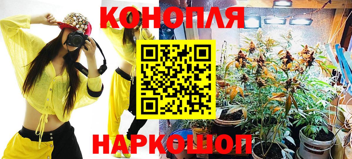 Бошки Шишки VHQ  МАРИХУАНА сатива  Ревда  Вход с VPN  МАРИХУАНА SATIVA & INDICA  Бошки марихуана VHQ 